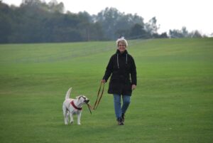 transition to retirement-creating routines like morning walks with your dog